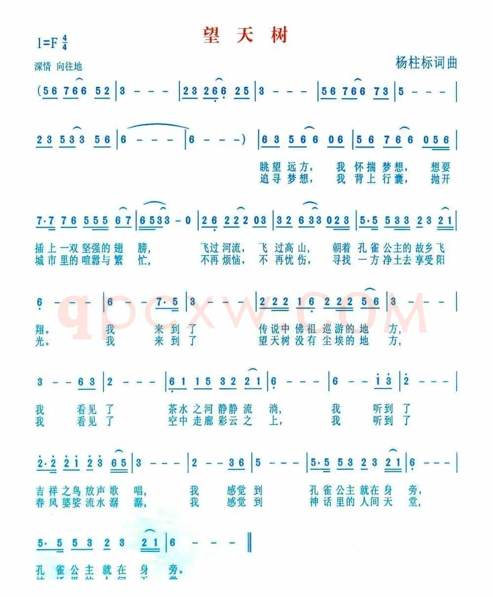 望天树