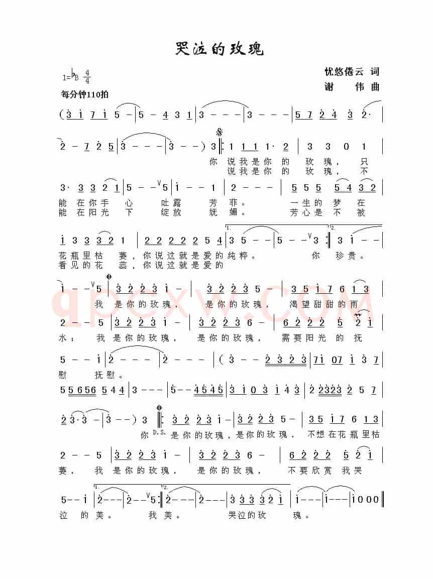 哭泣的玫瑰