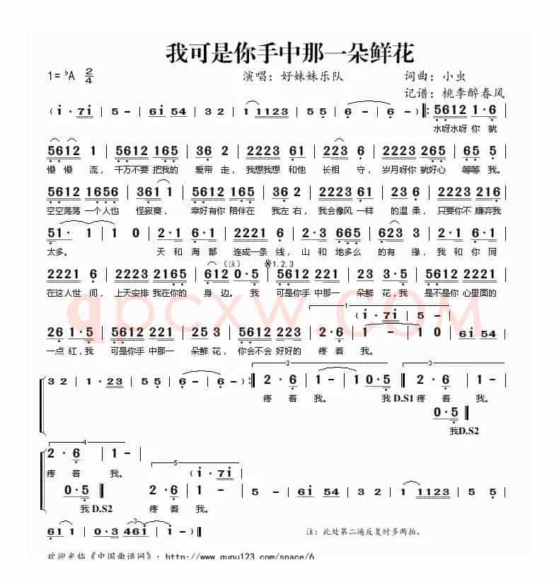 我可是你手中那一朵鲜花