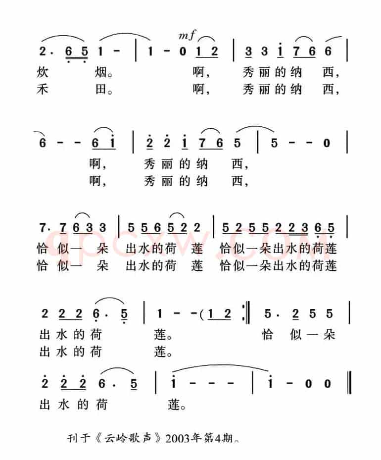 秀丽的纳西