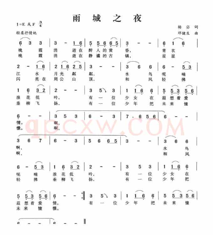 雨城之夜