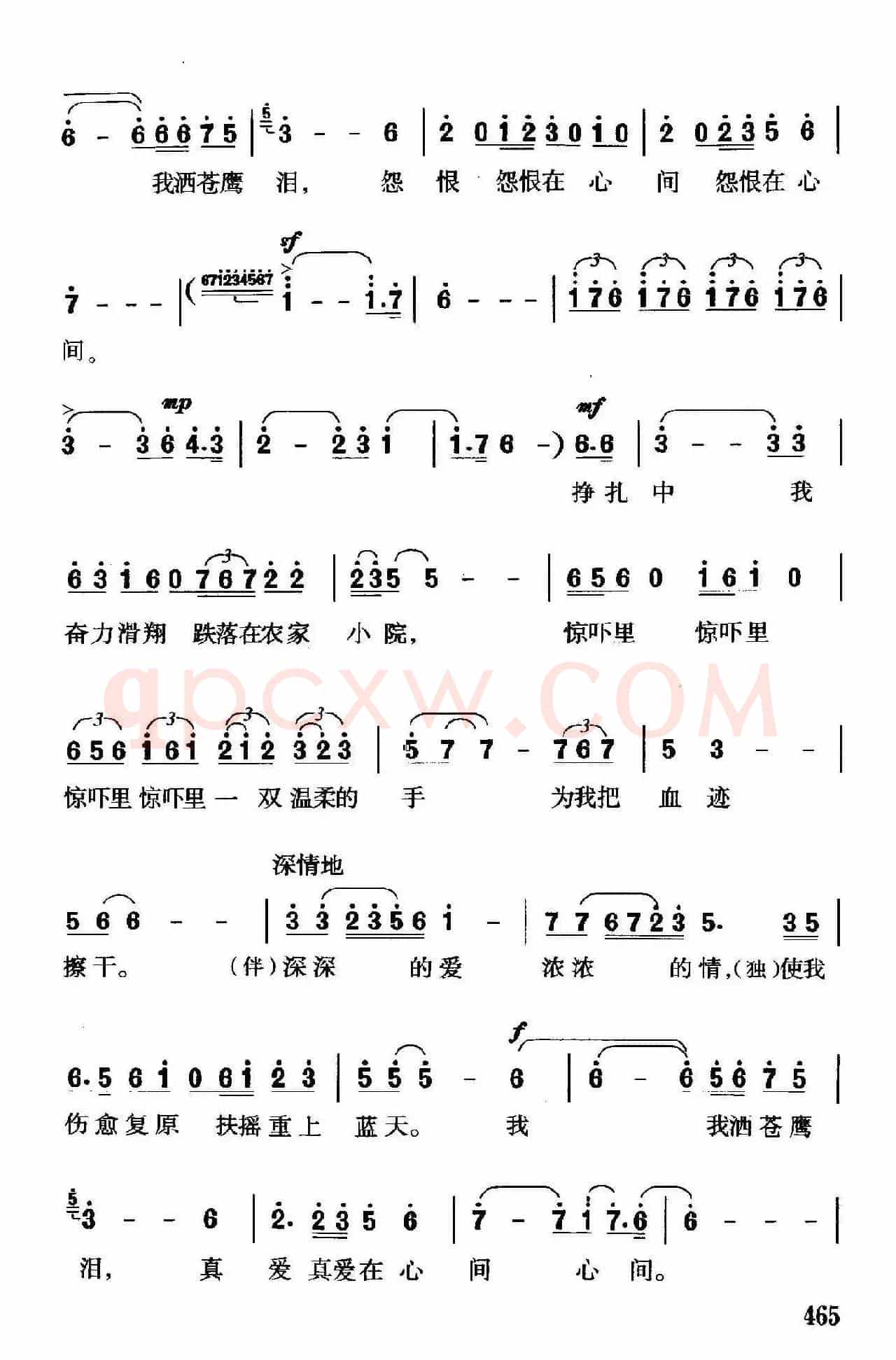 苍鹰泪（何新南词 珊卡曲）