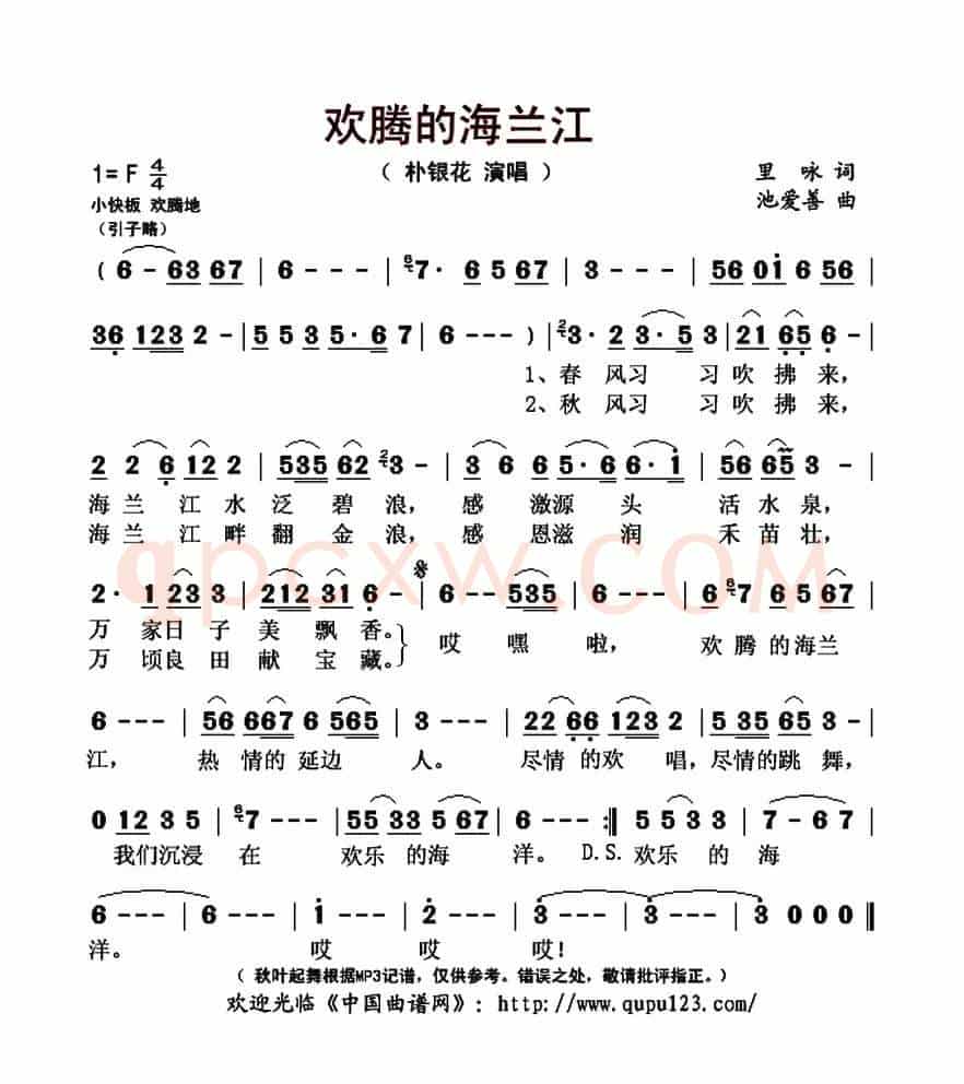 欢腾的海兰江