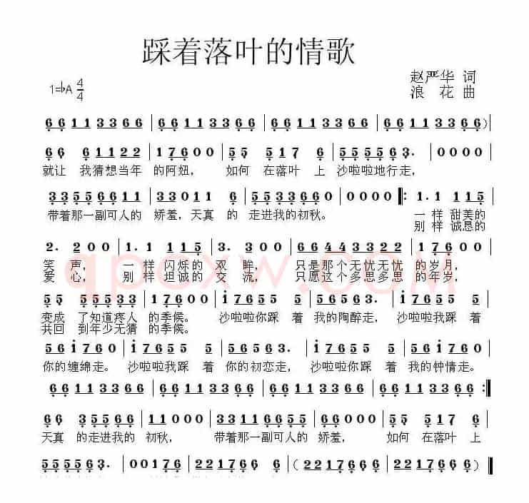 踩着落叶的情歌