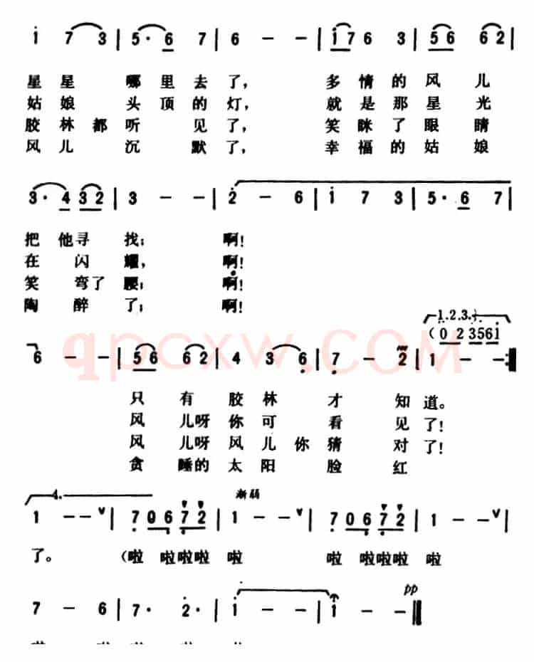 胶林之夜 