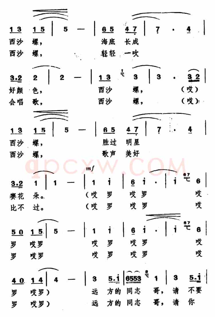 送你一枚西沙螺