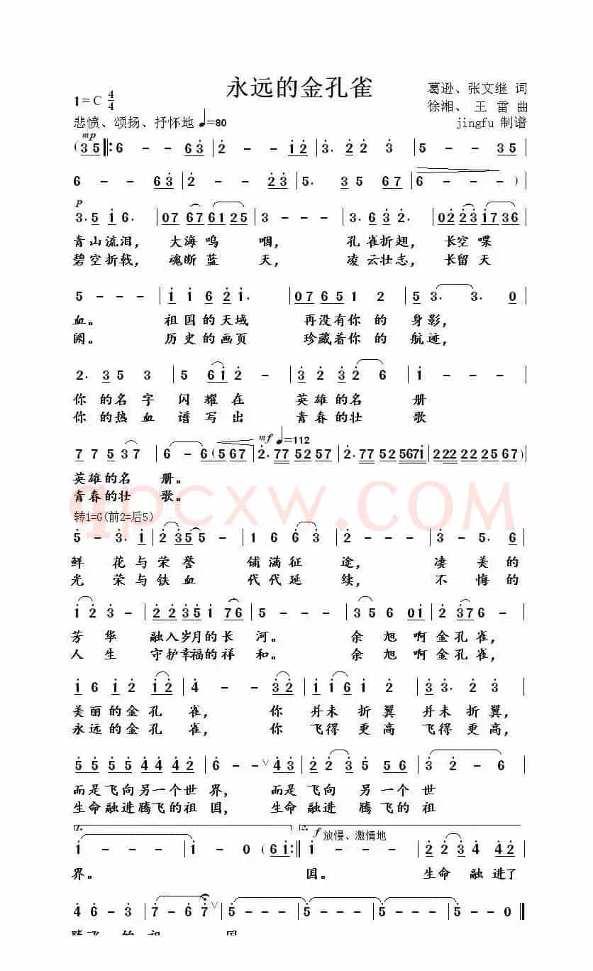 永远的金孔雀