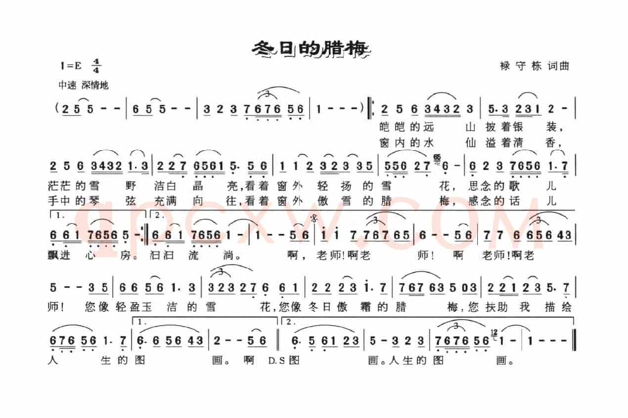 冬日的腊梅