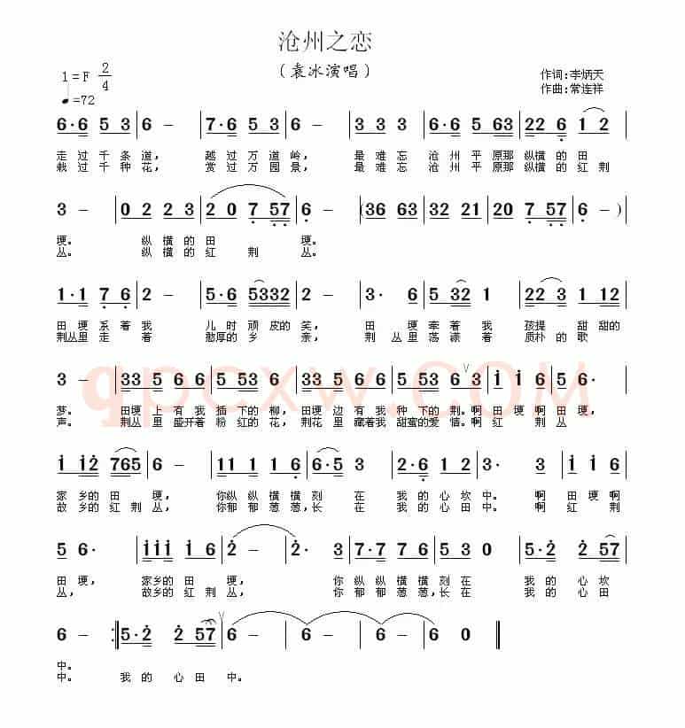 沧州之恋