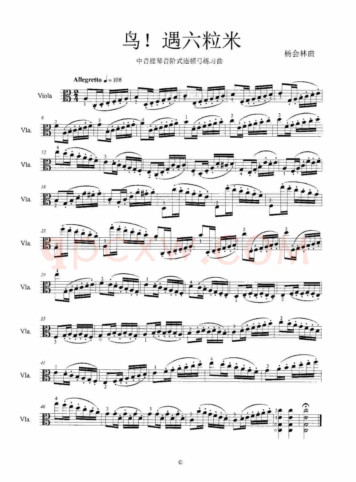 鸟！遇六粒米（中音提琴音阶式连顿弓练习曲）