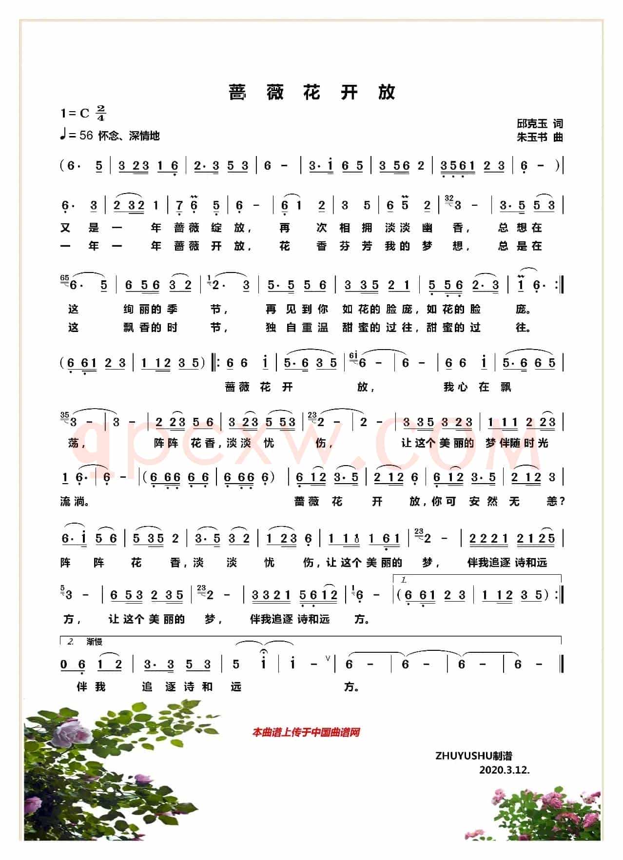 蔷薇花开放