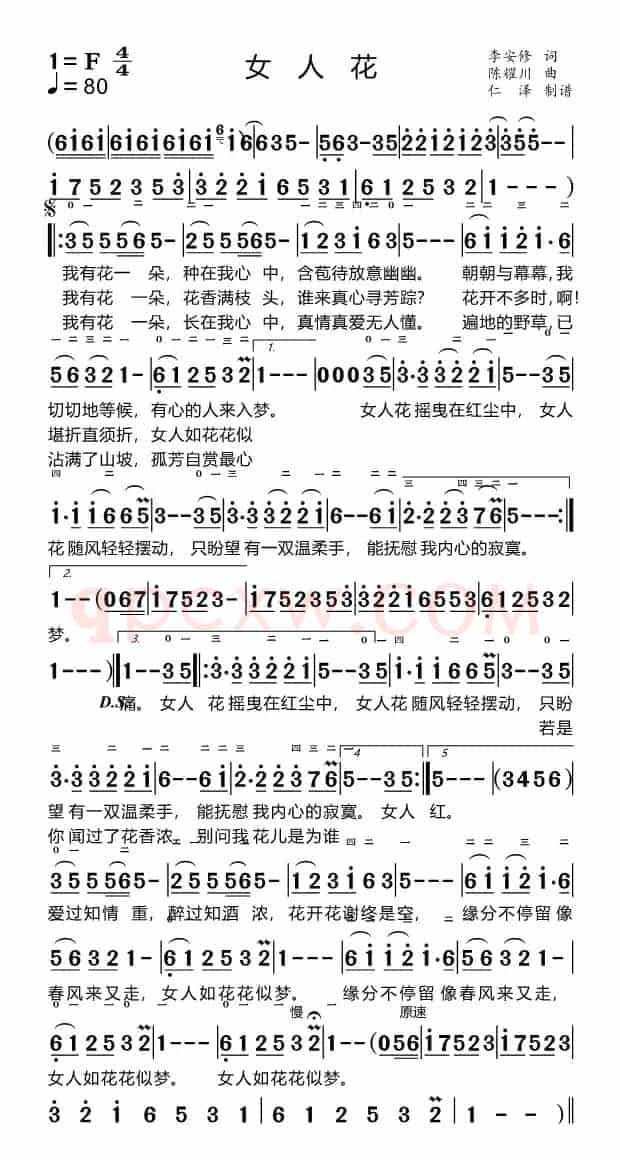 女人花（适合手机）