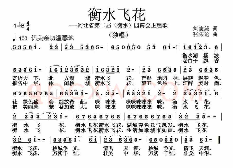 衡水飞花 