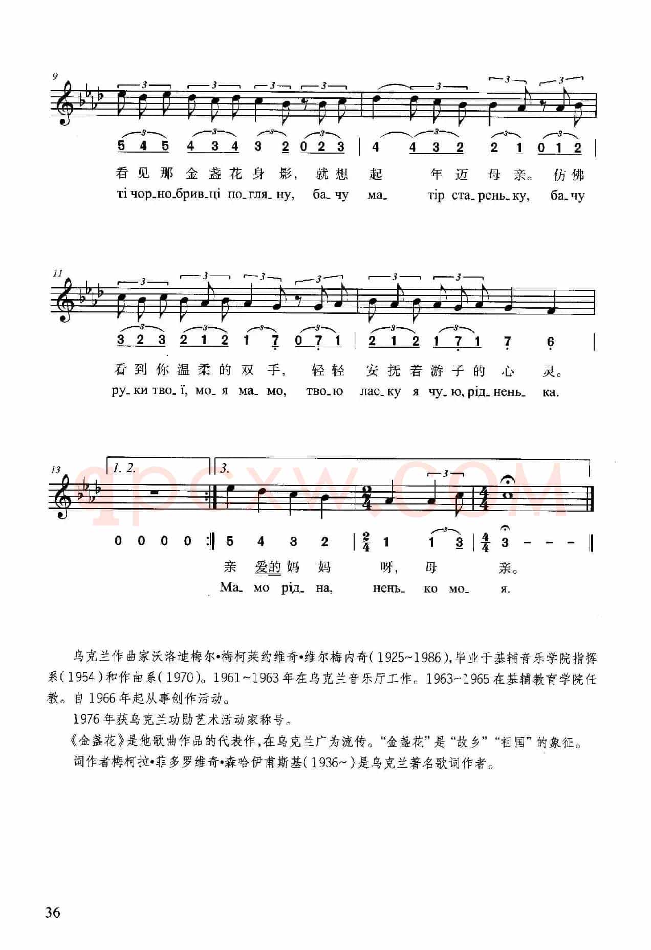金盏花