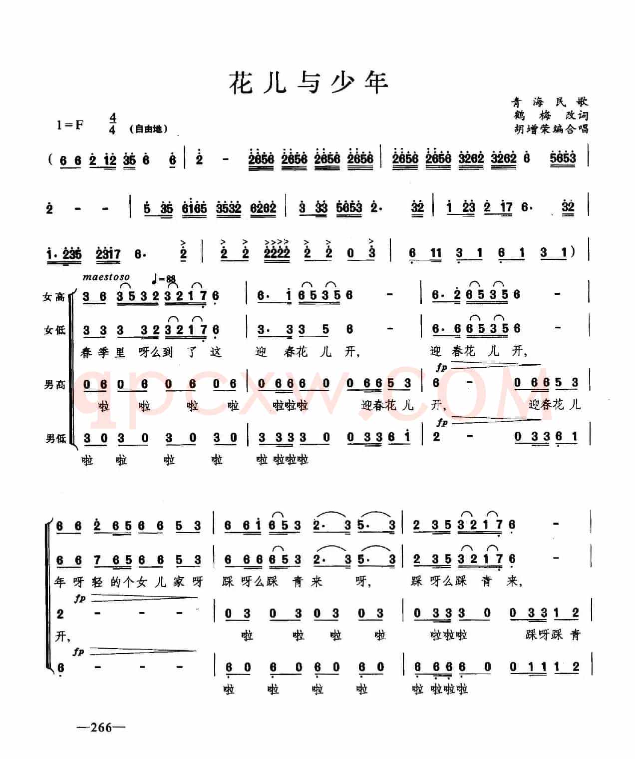 花儿与少年（合唱）
