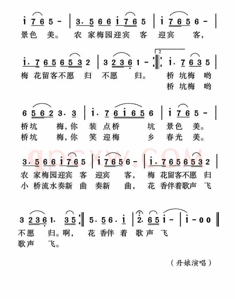 桥坑赏梅