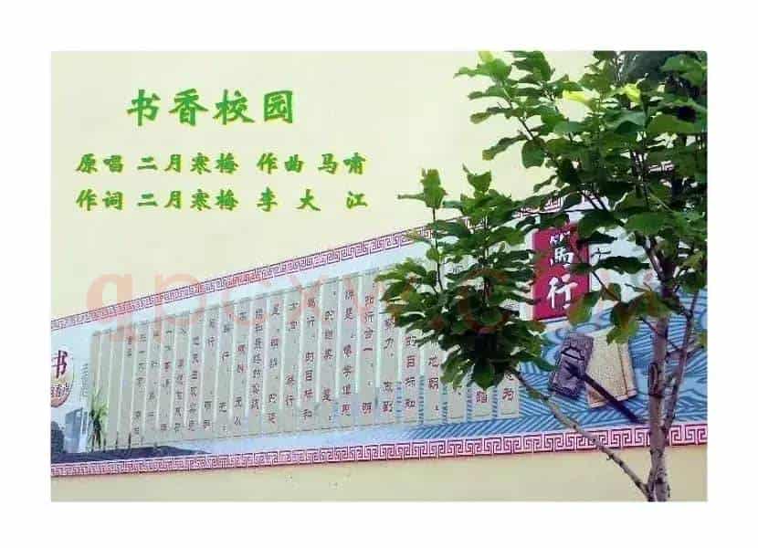 书香校园（ ）