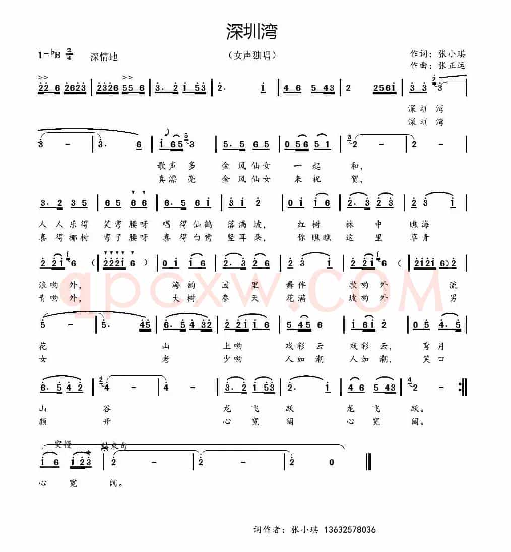 深圳湾
