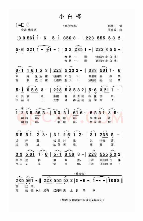 小白桦（童声独唱 孙康宁词 吴克敏曲）