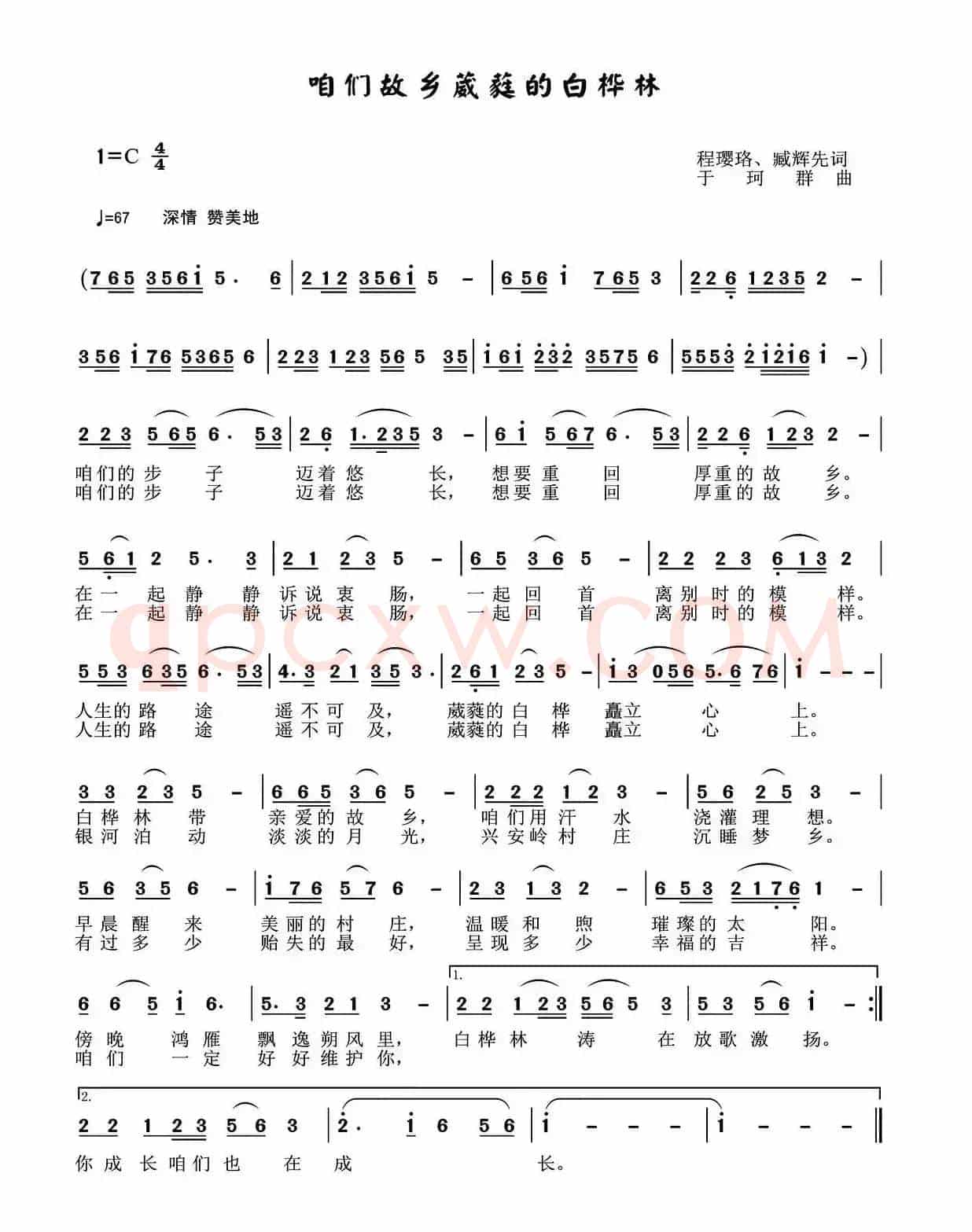 咱们故乡葳蕤的白桦林