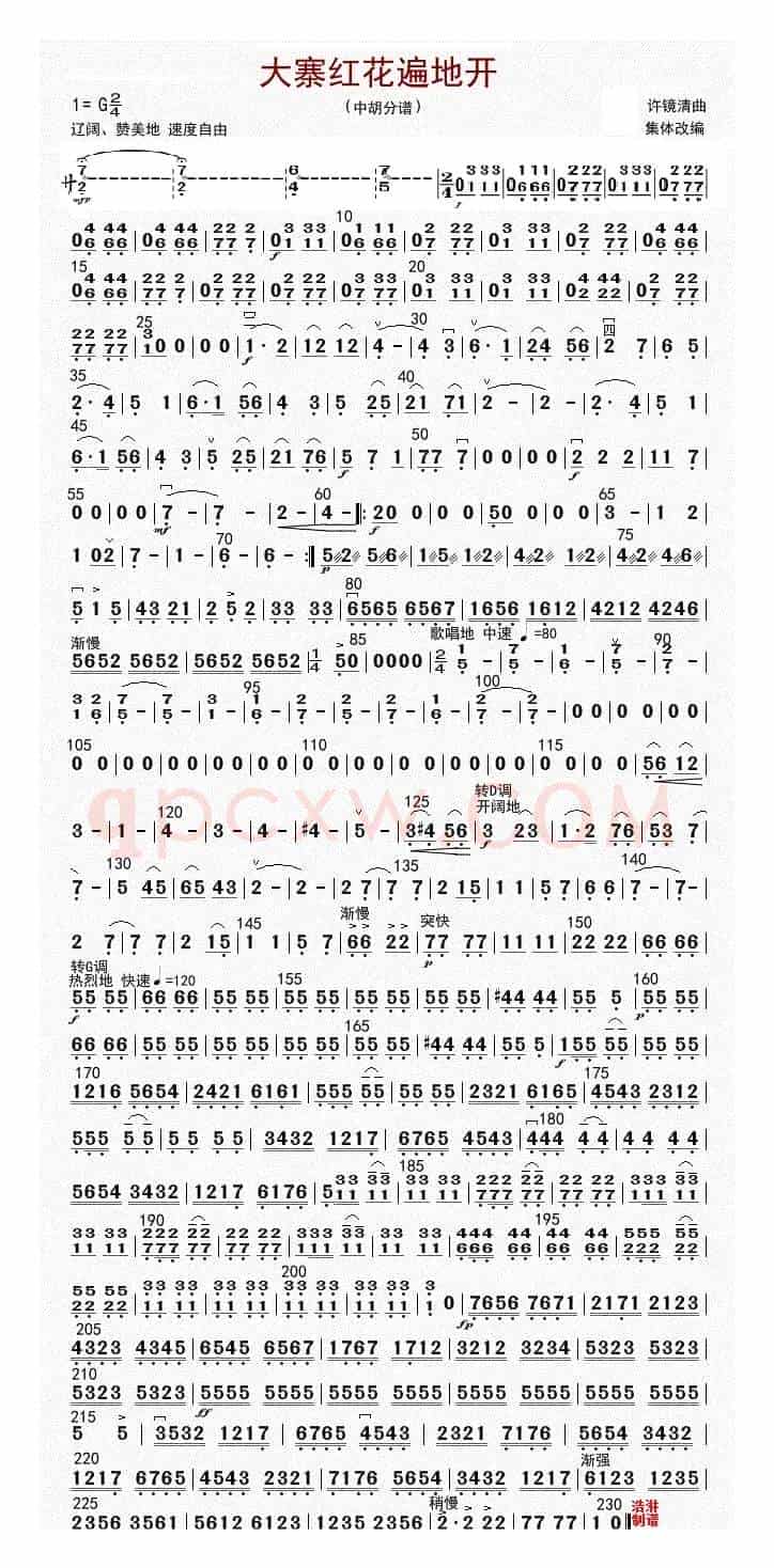 大寨红花遍地开（中胡（修改版））