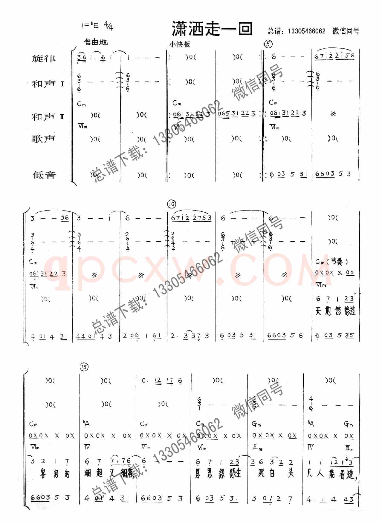 潇洒走一回（乐队总谱）