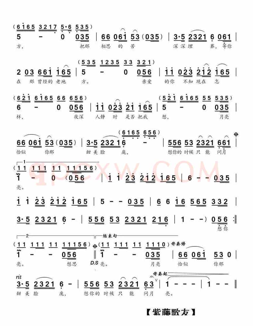 想你的时候问月亮（（雨中百合演唱））