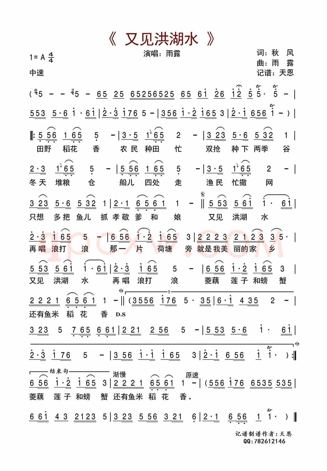 又见洪湖水