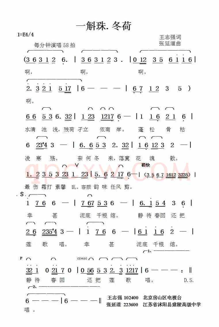 一斛珠.冬荷（王志强词张延道曲）
