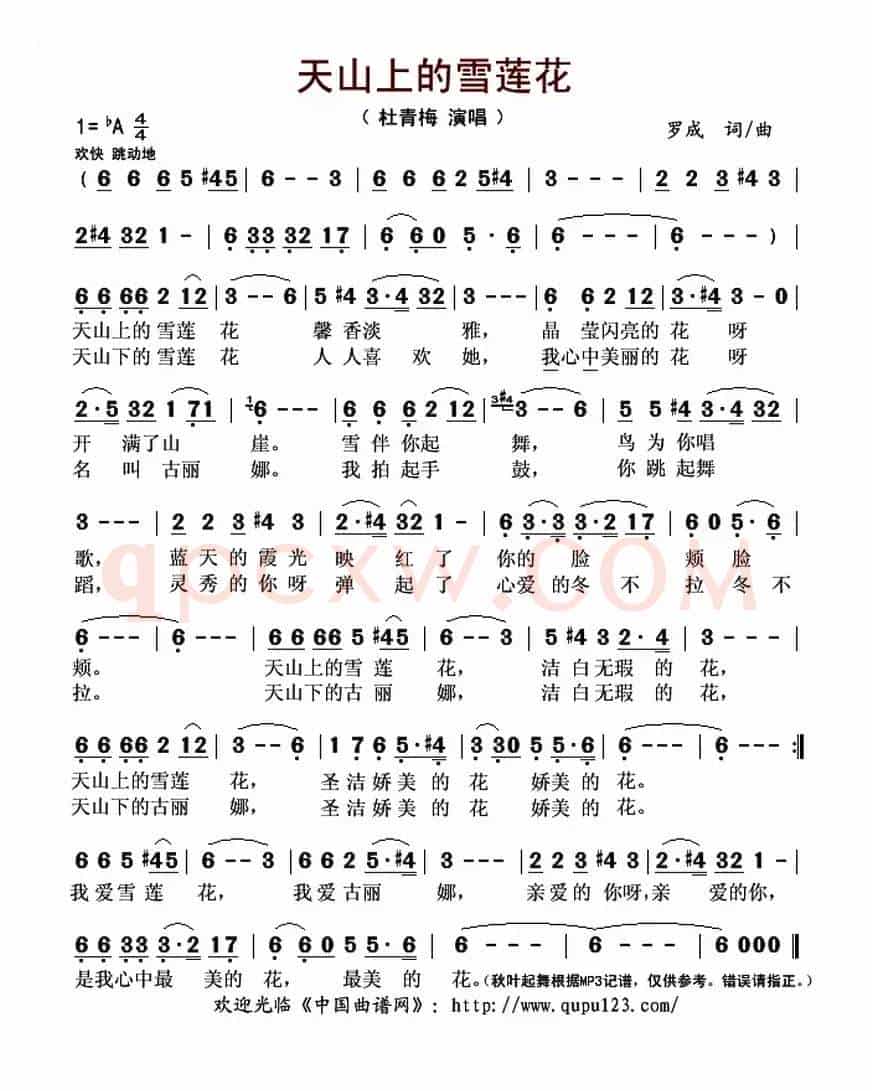 天山上的雪莲花