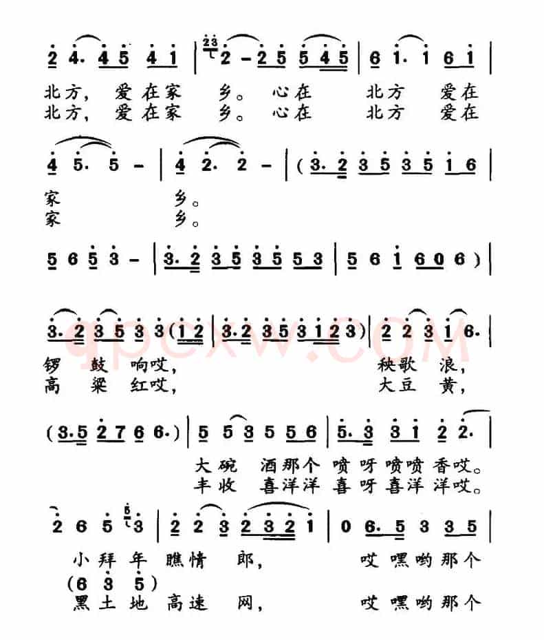 爱在北方