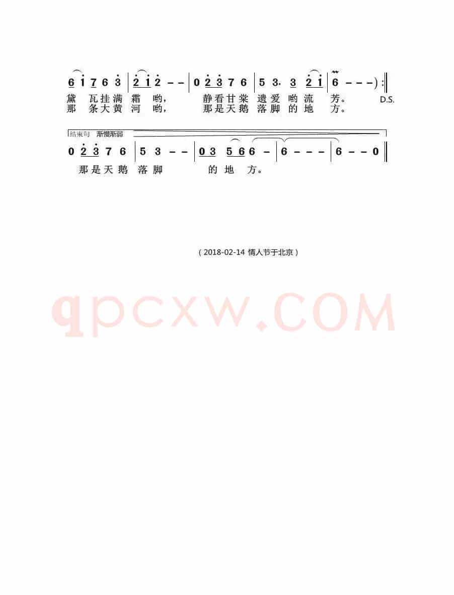 白天鹅落脚的地方