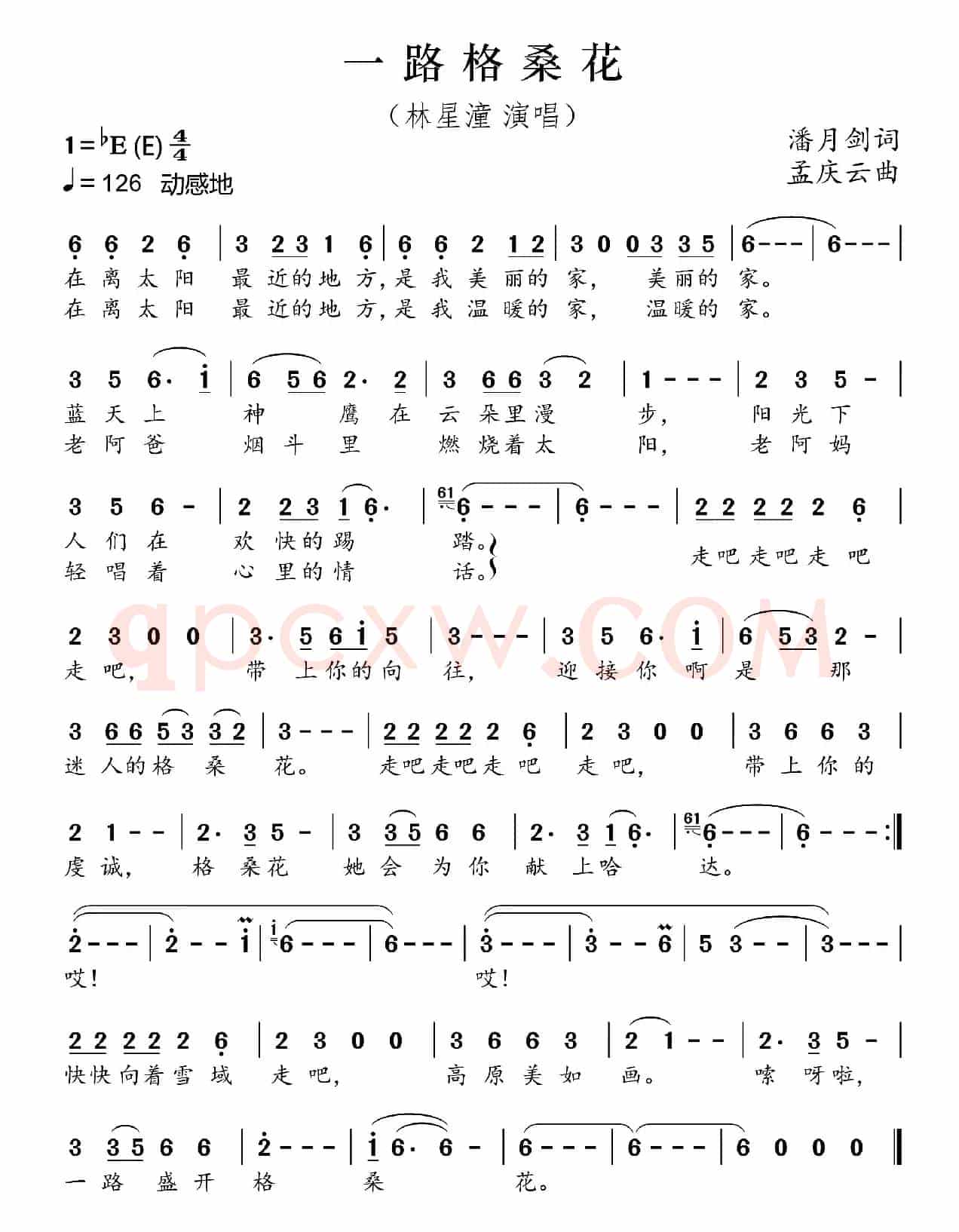 一路格桑花