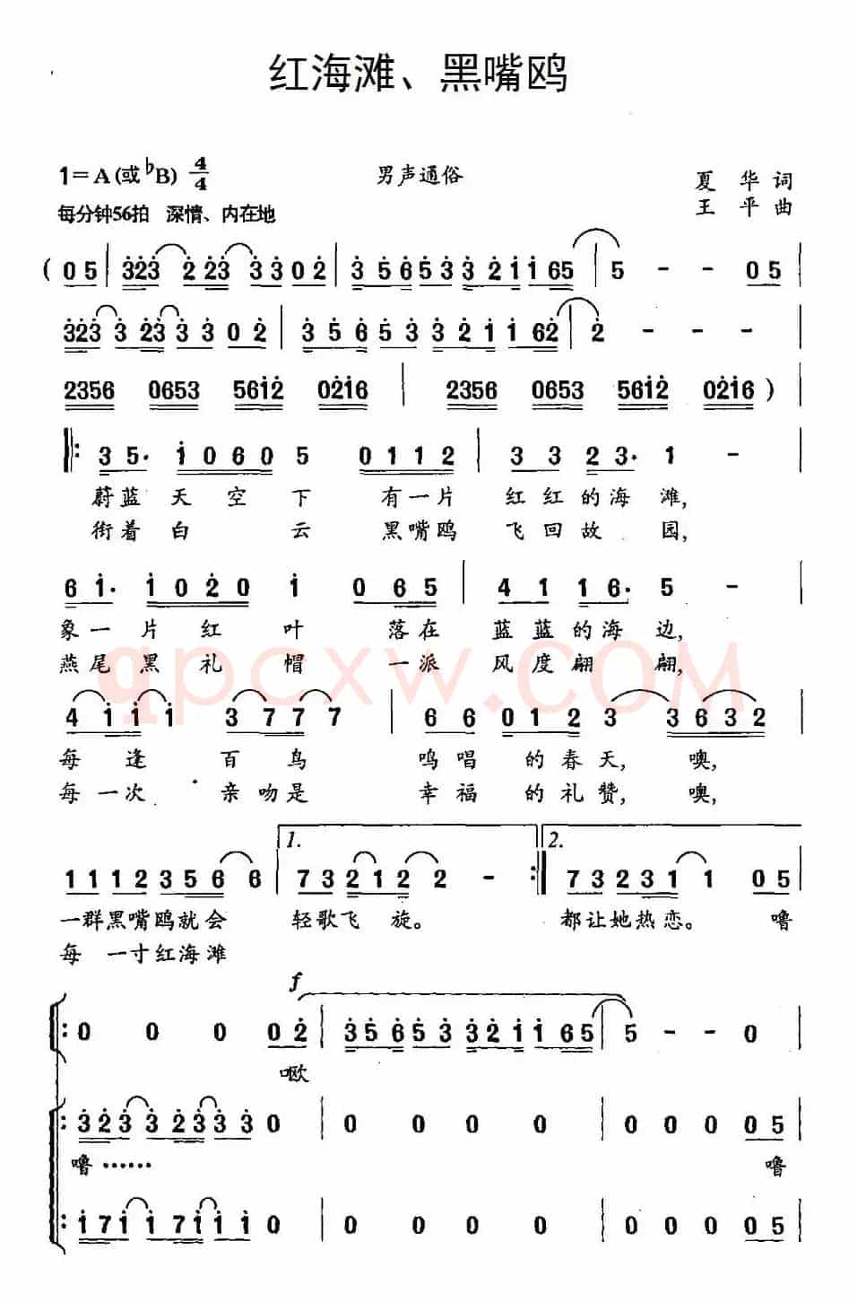 红海滩、黑嘴鸥