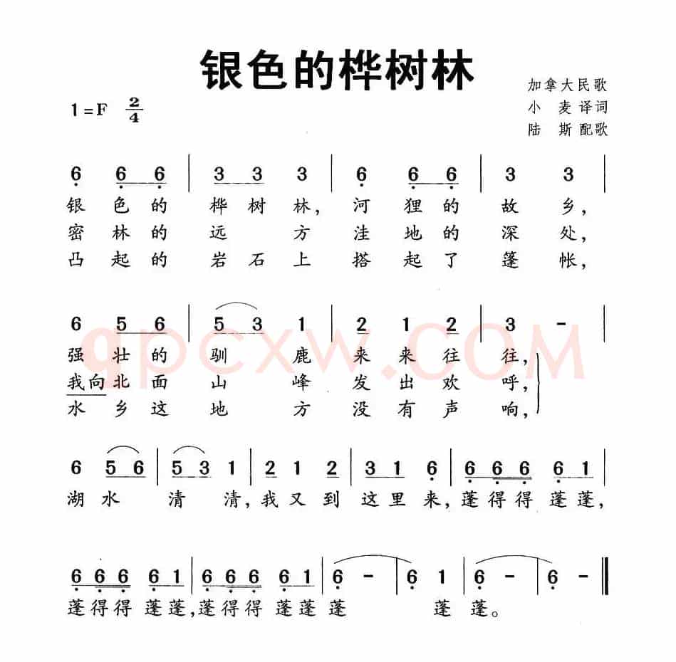 [加拿大] 银色的桦树林