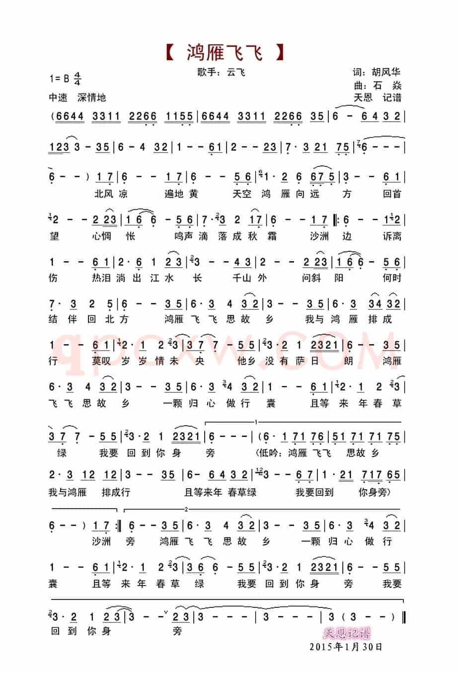鸿雁飞飞