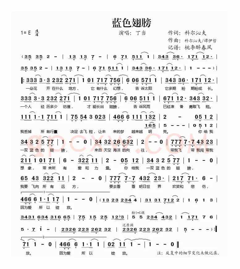 蓝色翅膀