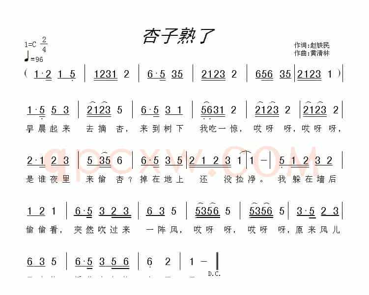 杏子熟了