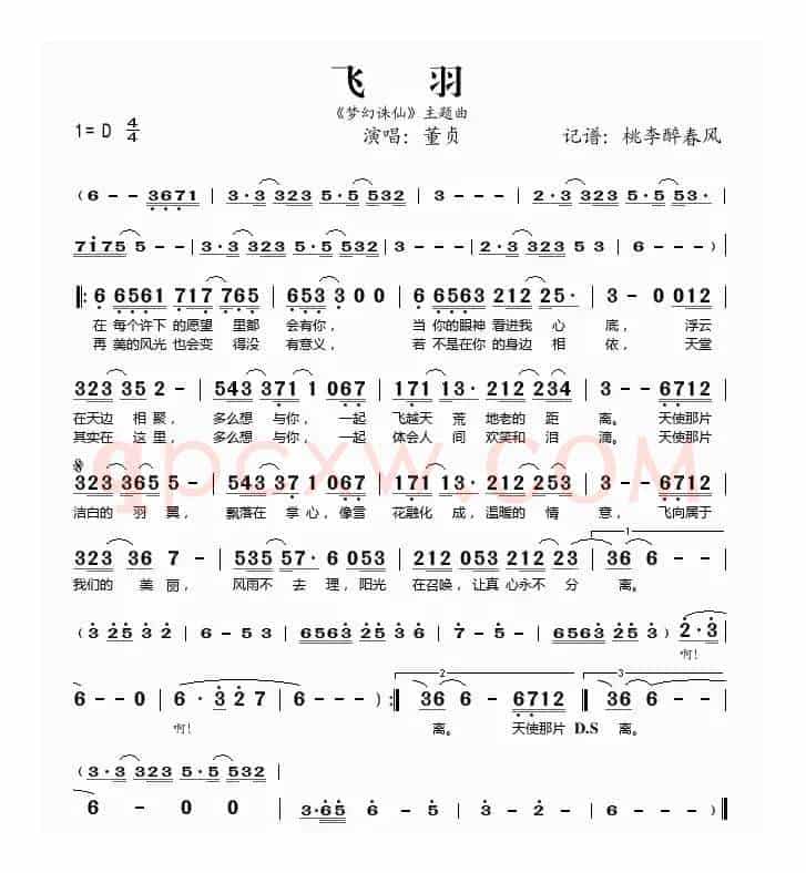 飞羽