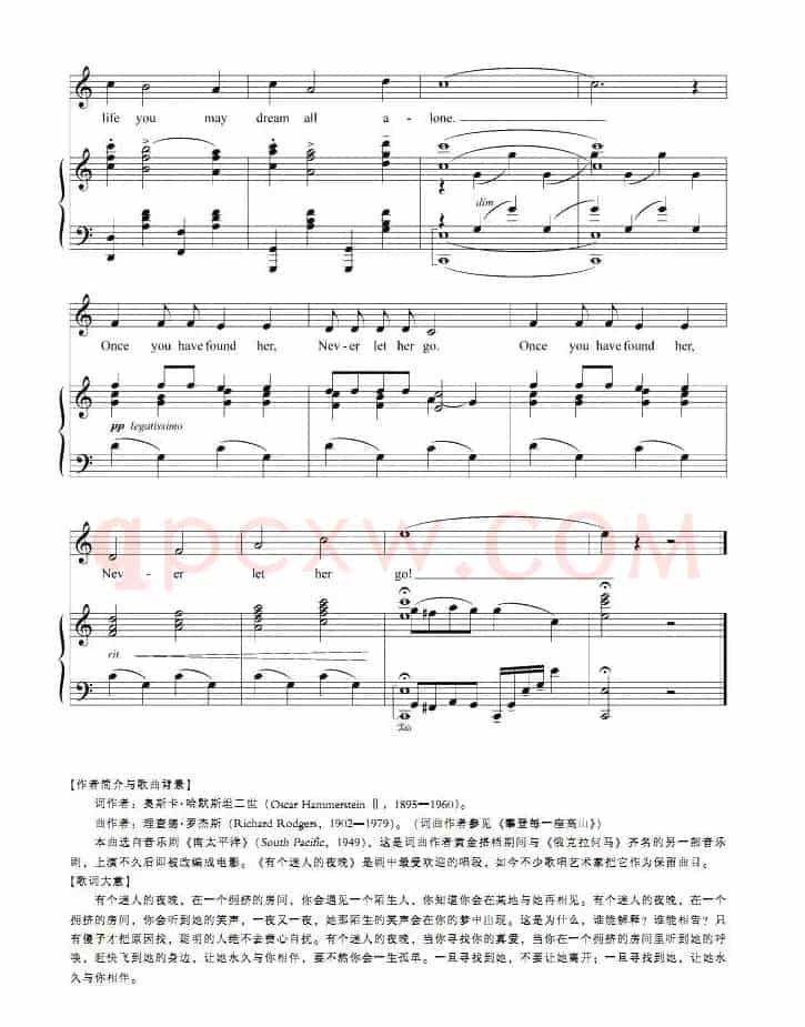 有个迷人的夜晚（正谱 [美]）