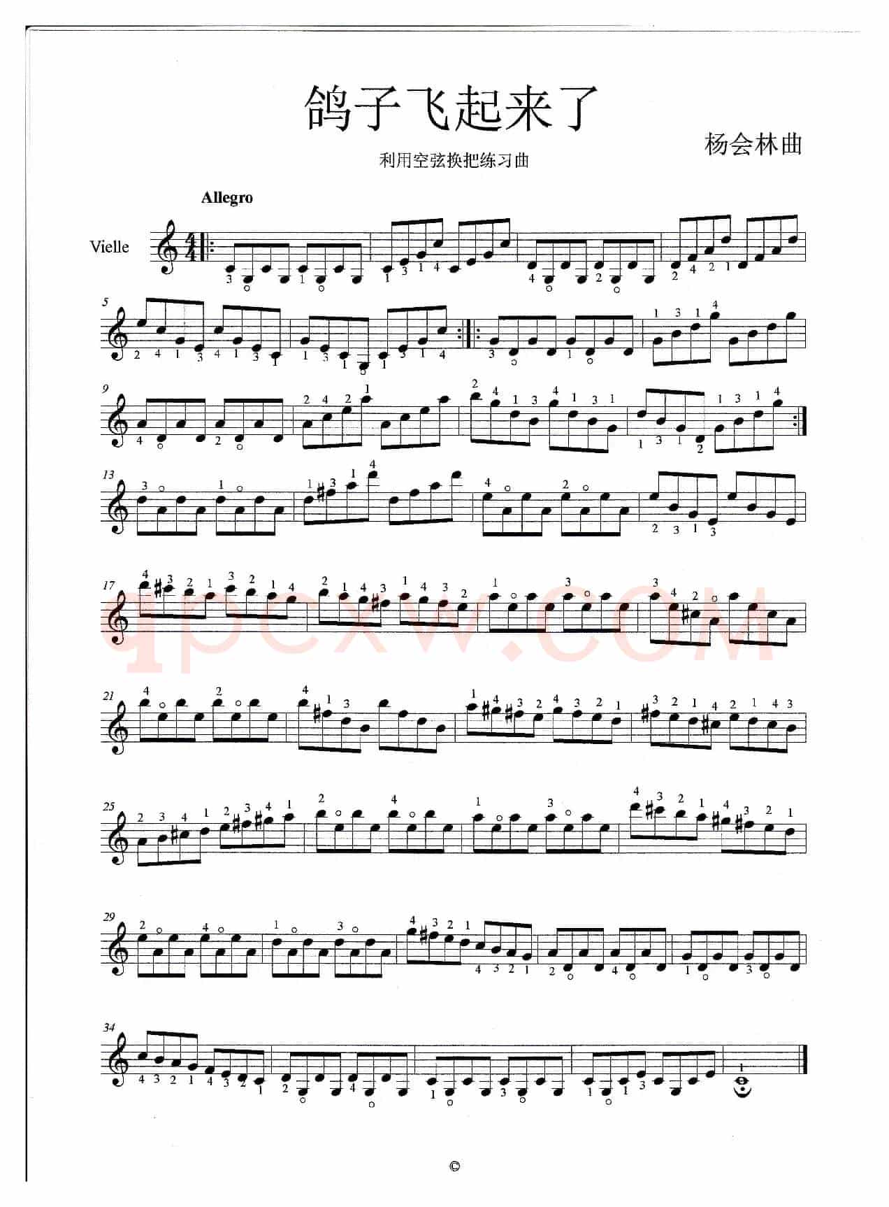 鸽子飞起来了（小提琴曲）