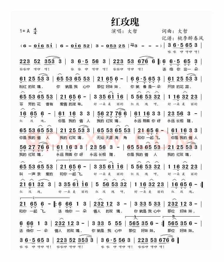 红玫瑰(大哲词曲)