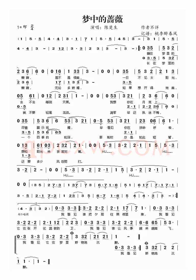 梦中的蔷薇