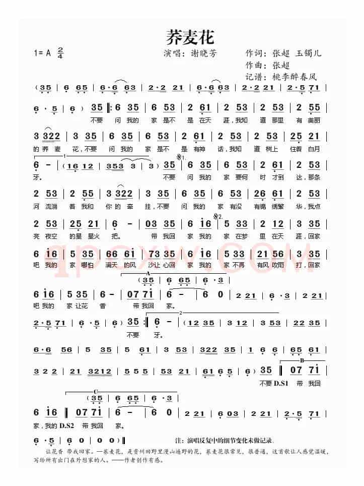 荞麦花（张超、玉镯儿词 张超曲）