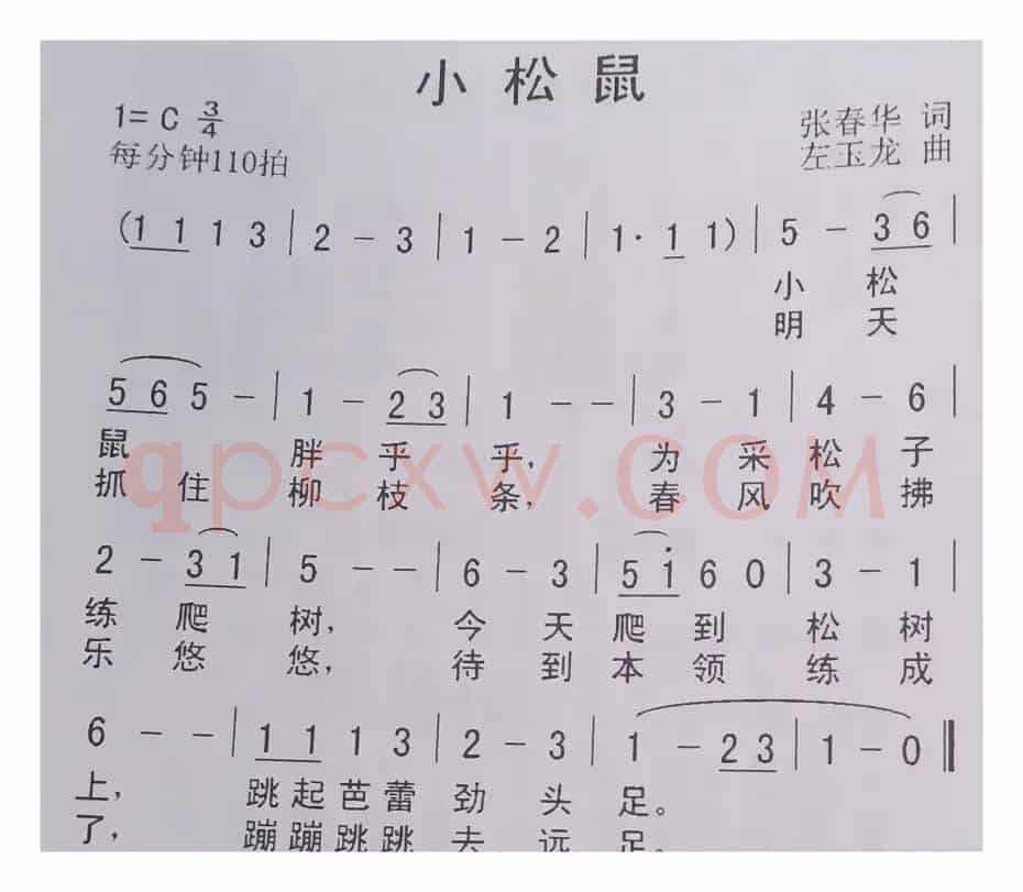 小松鼠