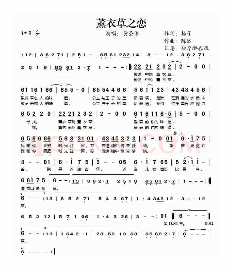 薰衣草之恋