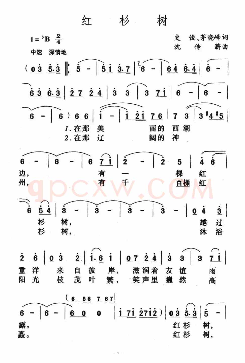红杉树