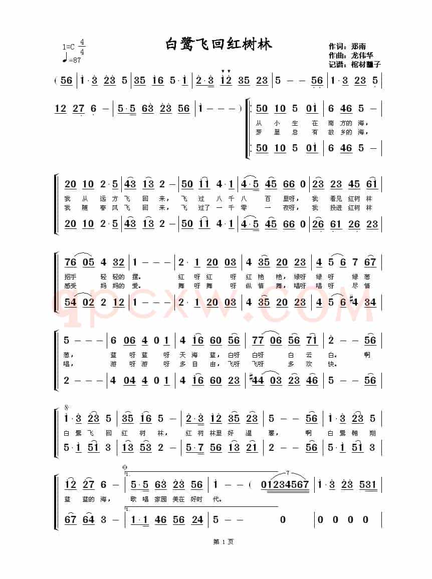 白鹭飞回红树林