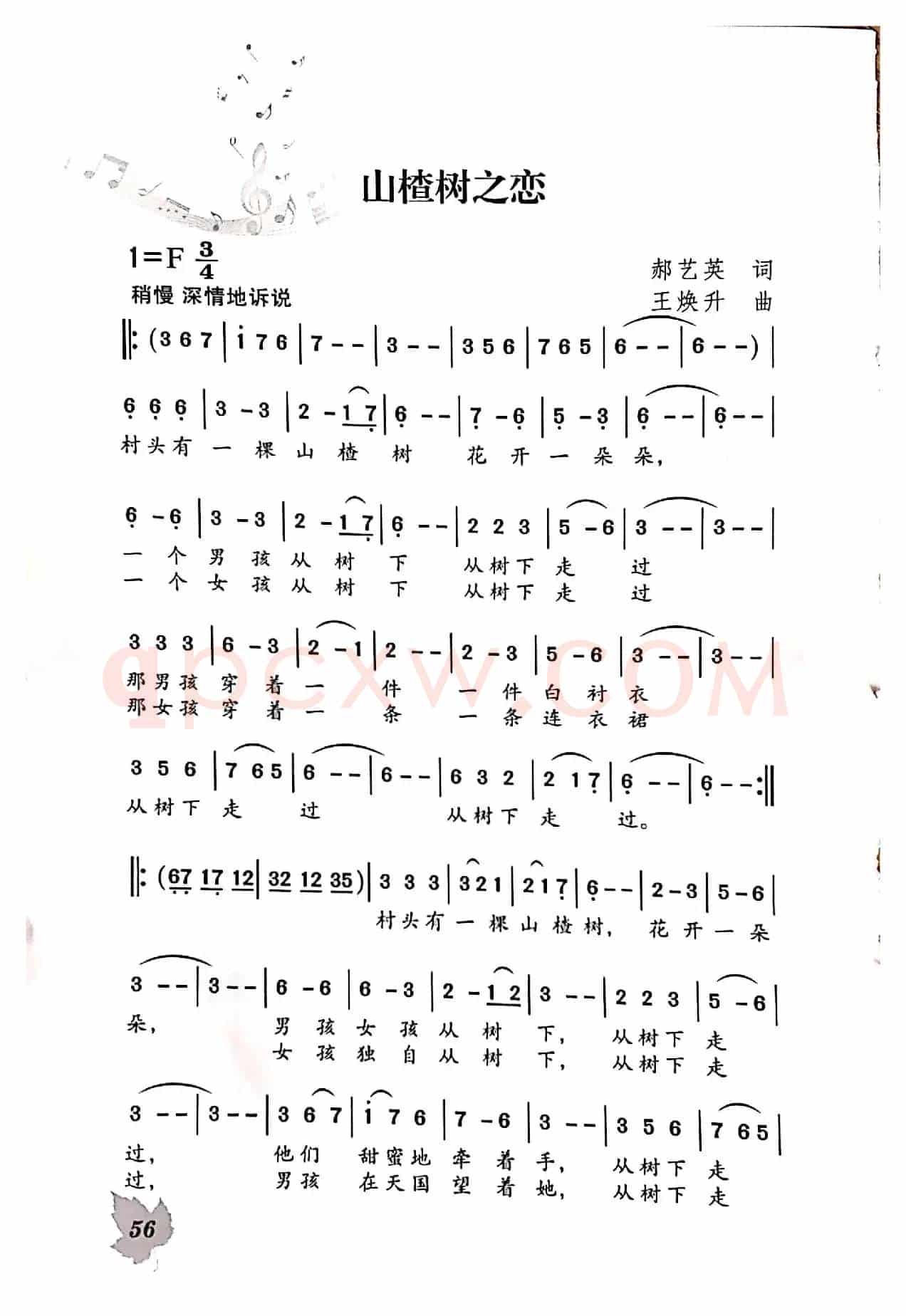 山楂树之恋
