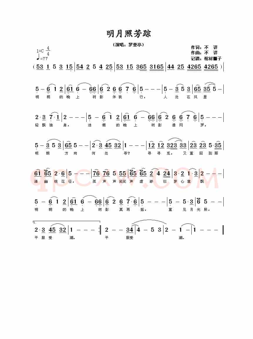 明月照芳踪